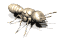 termite1_sw.gif