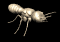 termite1_sb.gif