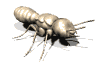termite1_lw.gif