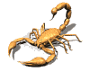 scorpion_rev_lw.gif