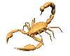 scorpion_rev_lc.gif