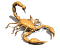 scorpion1_sw.gif