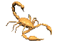 scorpion1_mc.gif