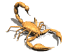 scorpion1_lw.gif