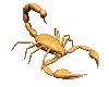 scorpion1_lc.gif