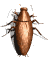 roach_wall_sw.gif