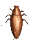 roach_wall_sc.gif