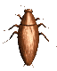roach_wall_mc.gif