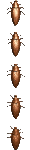 roach_vert_sc.gif