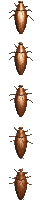 roach_vert_mc.gif
