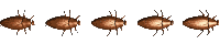 roach_hori_mc.gif