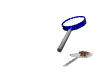 roach_fry_sw.gif
