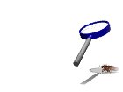 roach_fry_mw.gif