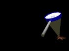 roach_fry_mb.gif