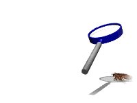 roach_fry_lw.gif