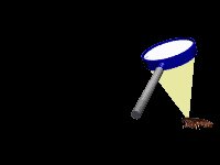 roach_fry_lc.gif