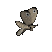 moth_flying_tc.gif