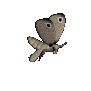 moth_flying_sc.gif
