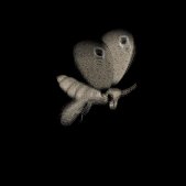 moth_flying_lb.gif