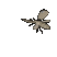 moth_detail_tc.gif