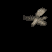 moth_detail_tb.gif