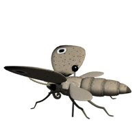 moth_detail_hr.jpg