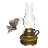 moth_attracted_to_light_lw.gif