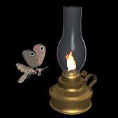 moth_attracted_to_light_lc.gif