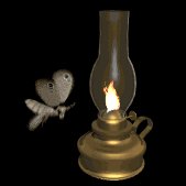 moth_attracted_to_light_lb.gif