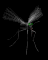 mosquito_sb.gif