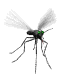 mosquito_mw.gif