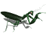 mantis_grab_sw.gif