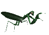 mantis_grab_mc.gif