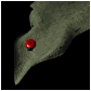 ladybug_resting_sb.gif