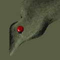 ladybug_resting_mc.gif