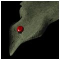 ladybug_resting_mb.gif