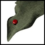 ladybug_resting_lw.gif