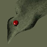 ladybug_resting_lc.gif