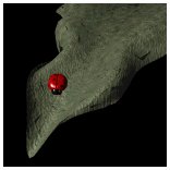 ladybug_resting_lb.gif
