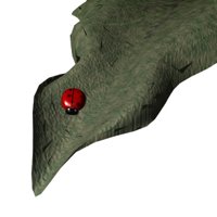 ladybug_resting_hr.jpg