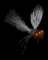 housefly_sb.gif