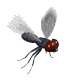 housefly_mw.gif
