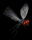 housefly_mb.gif