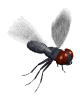 housefly_lw.gif