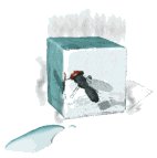fly_ice_lw.gif