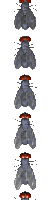fly_divider_vert_mc.gif