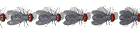 fly_divider_hori_sw.gif
