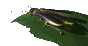 firefly_leaf_sc.gif