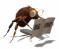 bug_report_sw.gif