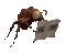 bug_report_sc.gif